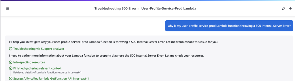 User prompts Amazon Q Developer to see why their AWS Lambda functions are facing 500 internal server errors.